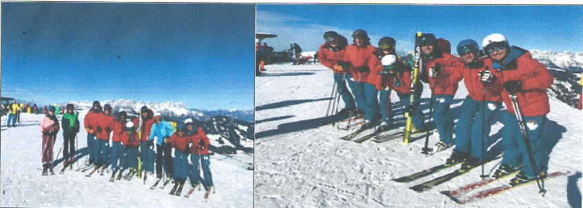 goetting faehrt ski